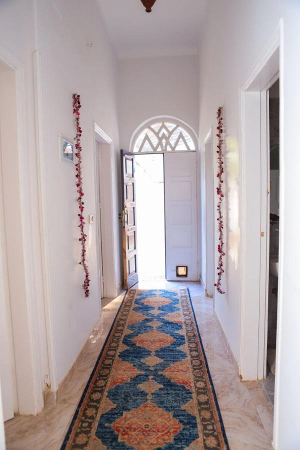 Luxor Oasis Guest House מראה חיצוני תמונה