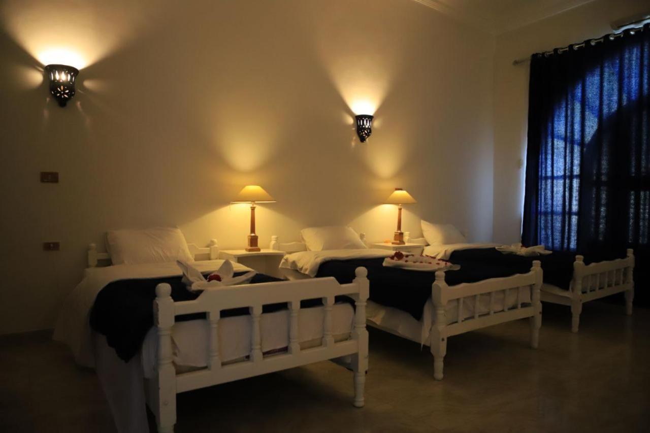 Luxor Oasis Guest House מראה חיצוני תמונה