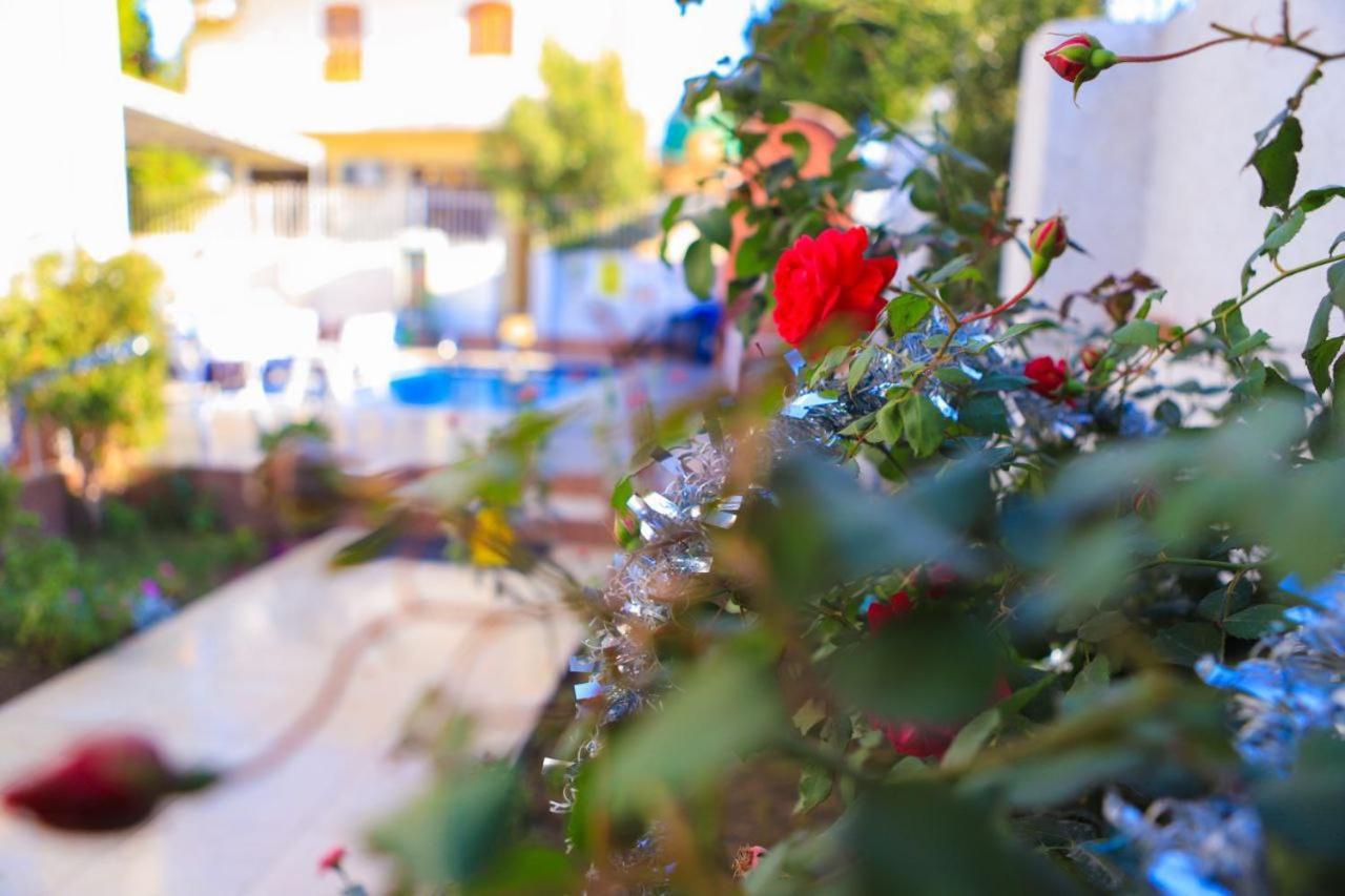 Luxor Oasis Guest House מראה חיצוני תמונה