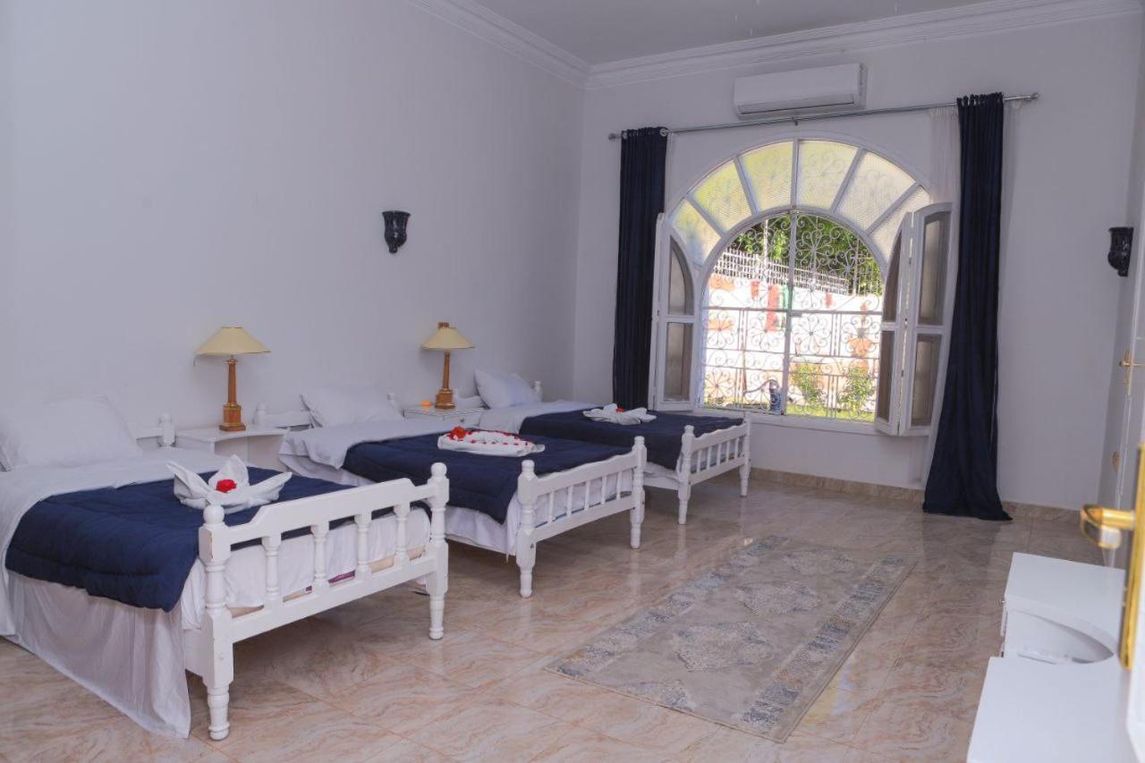 Luxor Oasis Guest House מראה חיצוני תמונה